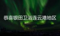 快排公司十年历程，霸屏兔 seo 的崛起与坚守