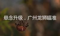 快排公司十年历程，霸屏兔 seo 的崛起与坚守