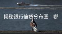 揭秘银行信贷分布图	：哪里投放最多，哪里不良最高？