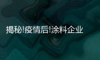 快排公司十年历程，霸屏兔 seo 的崛起与坚守