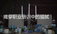 揭穿职业培训中的猫腻
�：靠训吃训肆意敛财