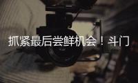 抓紧最后尝鲜机会！斗门御金球荔枝销售接近尾声