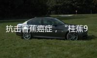 抗击香蕉癌症�
，“桂蕉9号”出手