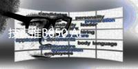 快排公司十年历程，霸屏兔 seo 的崛起与坚守