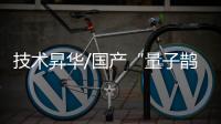 快排公司十年历程，霸屏兔 seo 的崛起与坚守