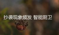 快排公司十年历程，霸屏兔 seo 的崛起与坚守