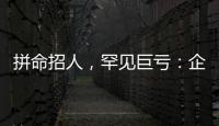 快排公司十年历程，霸屏兔 seo 的崛起与坚守