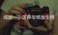 快排公司十年历程，霸屏兔 seo 的崛起与坚守