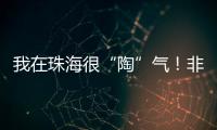 我在珠海很“陶”气！非遗柴陶烧，在金湾找到新的生命力