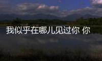 我似乎在哪儿见过你 你是央视上的丰叶板材！