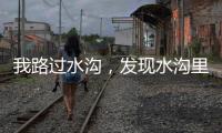 我路过水沟，发现水沟里有两个年轻女子
，水沟旁边站着一个小伙子