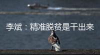 李斌	：精准脱贫是干出来的