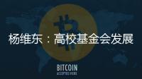 杨维东：高校基金会发展需要超越简单的筹资概念
