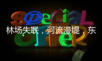 快排公司十年历程，霸屏兔 seo 的崛起与坚守