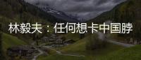 林毅夫	：任何想卡中国脖子的做法
，只会加速中国进步