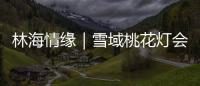 林海情缘｜雪域桃花灯会探营，氛围感拉满！
