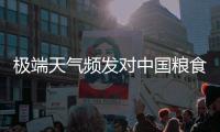 极端天气频发对中国粮食生产有何影响？