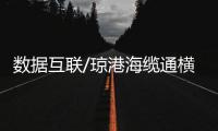 快排公司十年历程，霸屏兔 seo 的崛起与坚守