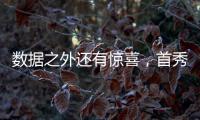 快排公司十年历程，霸屏兔 seo 的崛起与坚守
