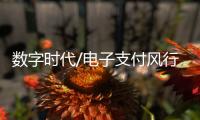 数字时代/电子支付风行内地
：用过谁愿放手