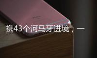 携43个河马牙进境，一男子在拱北口岸被查