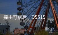 撞击野猪后
，D5515动车机械师的致命检修