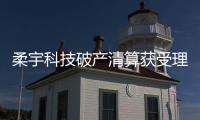 快排公司十年历程，霸屏兔 seo 的崛起与坚守