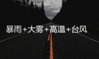 快排公司十年历程，霸屏兔 seo 的崛起与坚守