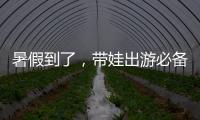 暑假到了，带娃出游必备！儿童铁路购票四大要点