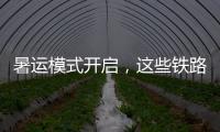 暑运模式开启
，这些铁路福利千万别错过
