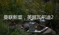曼联新菜
，英超瓦尔迪2.0
，19岁踢第6级别联赛
，29岁值6000万镑