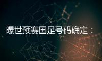 曝世预赛国足号码确定：艾克森11号 武磊7号