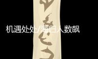 快排公司十年历程，霸屏兔 seo 的崛起与坚守