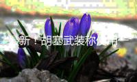 最新！胡塞武装称使用一艘无人快艇和六枚导弹
	，击沉一艘赴以色列船只	！视频公布