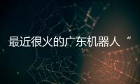 最近很火的广东机器人“七剑客”到底是谁？
