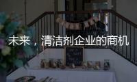 未来，清洁剂企业的商机在实体店