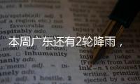 快排公司十年历程，霸屏兔 seo 的崛起与坚守