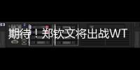 期待
！郑钦文将出战WTA500华盛顿站比赛