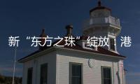 快排公司十年历程，霸屏兔 seo 的崛起与坚守