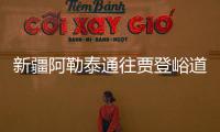 快排公司十年历程，霸屏兔 seo 的崛起与坚守