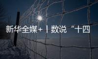 快排公司十年历程，霸屏兔 seo 的崛起与坚守