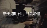 快排公司十年历程，霸屏兔 seo 的崛起与坚守