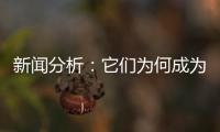 新闻分析
：它们为何成为2020年度全国十大考古新发现？