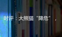 时评：大熊猫“降危”，但生态保护不能降级