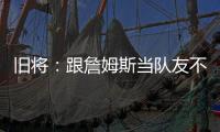 快排公司十年历程，霸屏兔 seo 的崛起与坚守