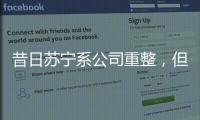 昔日苏宁系公司重整
，但易主后的上市公司扭亏为盈