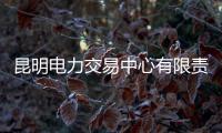 昆明电力交易中心有限责任公司监事会原主席陈军被公诉