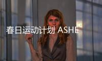快排公司十年历程，霸屏兔 seo 的崛起与坚守