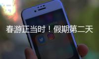 快排公司十年历程，霸屏兔 seo 的崛起与坚守