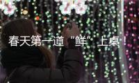 春天第一道“鲜”上桌！春菜打开春日消费新场景